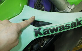 KAWASAKI KLX250 SR LX250E