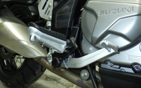 SUZUKI DL650 ( V-Strom 650 ) 2020 C733A