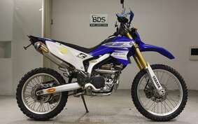 YAMAHA WR250R DG15J