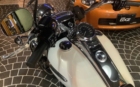 HARLEY FLRT 2019 MCP