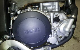 YAMAHA WR250X DG15J