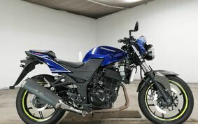 KAWASAKI NINJA 250R EX250K