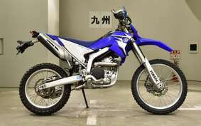 YAMAHA WR250R DG15J