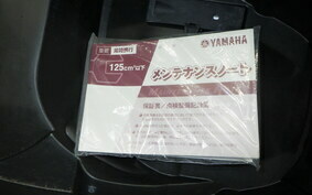 YAMAHA CYGNUS 125 XSR 2 SE44J