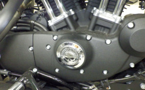 HARLEY XL1200NS 2021