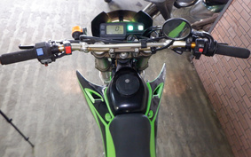 KAWASAKI KLX250 LX250E