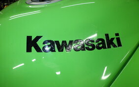 KAWASAKI NINJA 250R EX250K