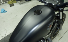 HARLEY XL883N 2019