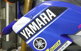 YAMAHA WR250R DG15J