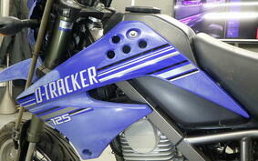 KAWASAKI KLX125D TRACKER LX125D