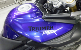 TRIUMPH TIGER 800 2013