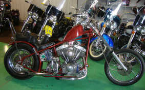 HARLEY FLT 1981 5G