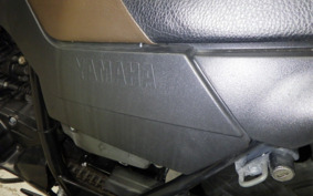 YAMAHA TW225 DG09J