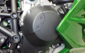 KAWASAKI NINJA H2 SX SE 2019 ZXT02A