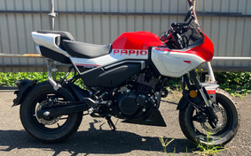 OTHER CFMOTO パピオ X0-1