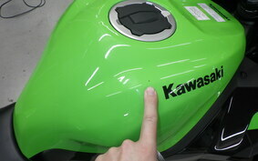 KAWASAKI ZX-25R ZX250G