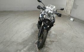 TRIUMPH TIGER 800 XC 2015 TRE16