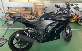 KAWASAKI NINJA 250R EX250K