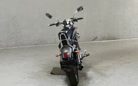 YAMAHA VIRAGO 250 3DM