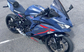 KAWASAKI NINJA ZX 25 ZX250E