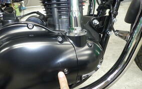 KAWASAKI W800 CAFE 2020 EJ800B