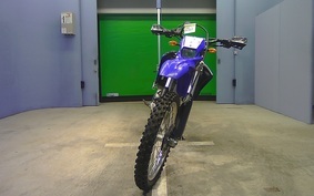 YAMAHA WR250R 2007 DG15J