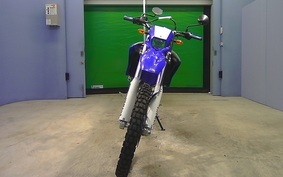 YAMAHA WR250R 2007 DG15J