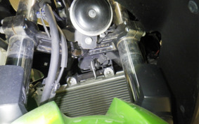 KAWASAKI NINJA 250 EX250P