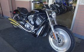 HARLEY VRSCB 2005 HBZ