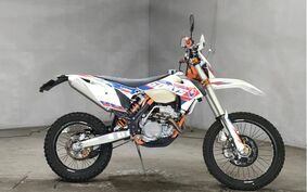 KTM 250 EXC F SIXDAYS EXA40