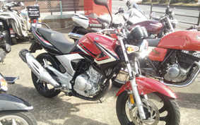 YAMAHA YBR250 PCNL