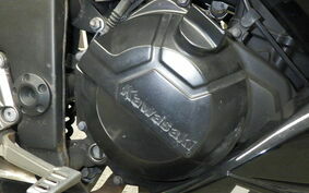 KAWASAKI NINJA 250 EX250L