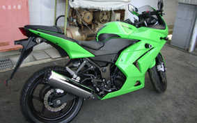 KAWASAKI NINJA 250R 2010 EX250K