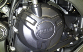 YAMAHA YZF-R3 2015 RH07J