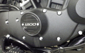 HARLEY XL1200NS 2018