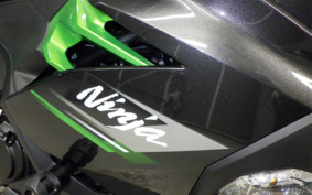 KAWASAKI NINJA 250 EX250Y