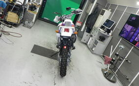 YAMAHA TT250R RAID 4GY