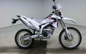 YAMAHA WR250R 2009 DG15J