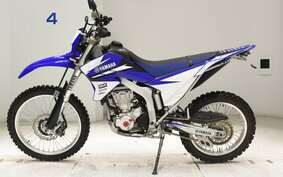 YAMAHA WR250R DG15J