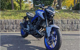 YAMAHA MT-25 RG43J