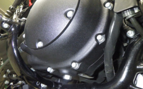 HARLEY XL1200NS 2021