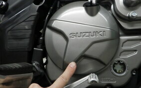 SUZUKI DL650 ( V-Strom 650 ) 2021 C733A