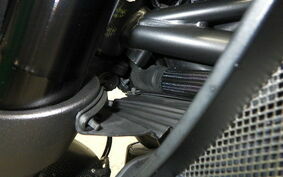 DUCATI DIAVEL Carbon 2013