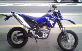 YAMAHA WR250X DG15J