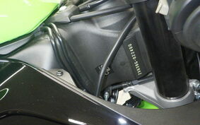 KAWASAKI NINJA ZX-6R A 2022 ZX636G