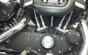 HARLEY XL883N 2015