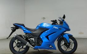 KAWASAKI NINJA 250R 2010 EX250K