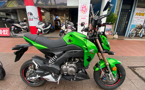 KAWASAKI Z125 PRO BR125H