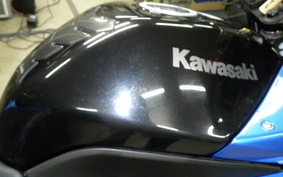 KAWASAKI NINJA 250R EX250K