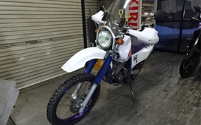 YAMAHA TT250R RAID 4GY